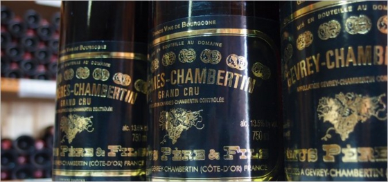 ◤Domaine Camus Pere et Fils (カミュ・ペール・エ・フィス ◤Domaine Camus Pere et Fils (カミュ・ペール・エ・フィス