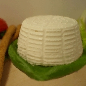 Oricotta1.gif