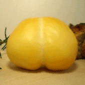 Oscamorza1.gif