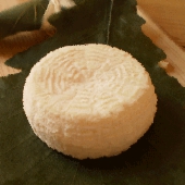 Ochevre211.gif